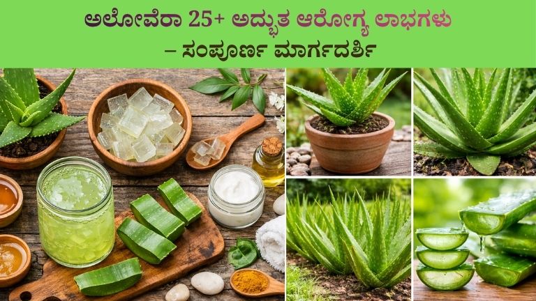 AloeVera Benefits