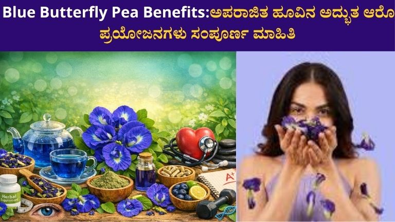 Blue Butterfly Pea Benefits