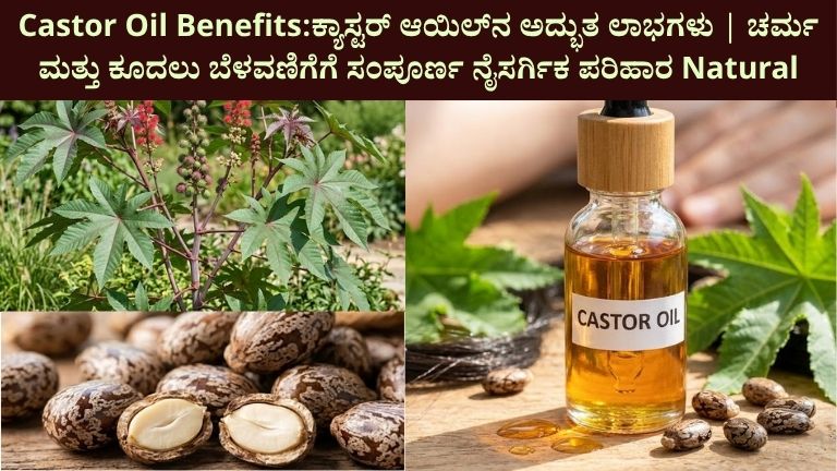 Castor Oil Benefits