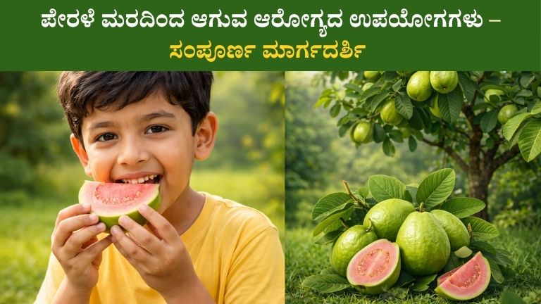 Guava Fruit (1)