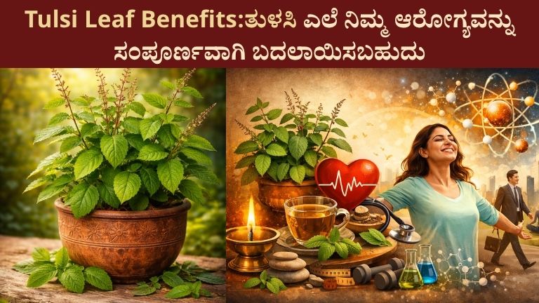 Tulsi Leaf Benefits