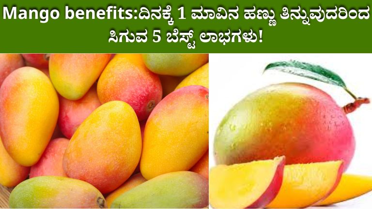 Mango benefits
