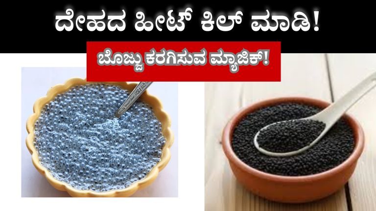 Sabja Seeds