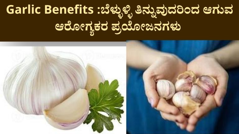 Garlic Benefits