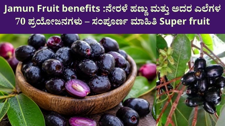 Jamun Fruit benefits